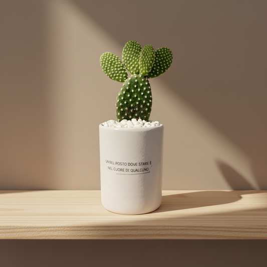 Un bel posto dove stare è nel cuore di qualcuno