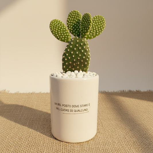 Un bel posto dove stare è nel cuore di qualcuno