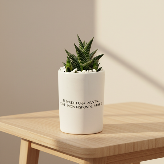 Ti meriti una pianta... che non risponde male