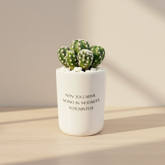 Non toccarmi sono in modalità fotosintesi