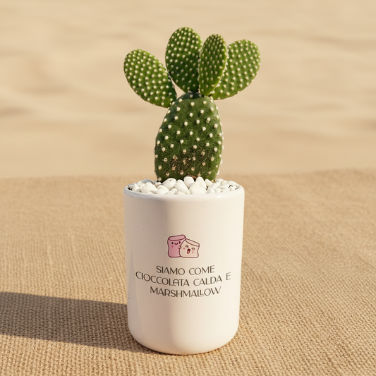 Siamo come cioccolata calda e marshmallow